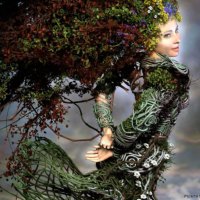 FEMALE TREE