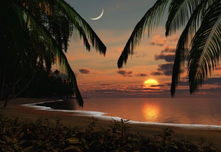 Ruling planet - crescent, sunset, beach, palm tree