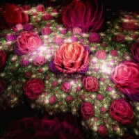 Fractal Rose Field