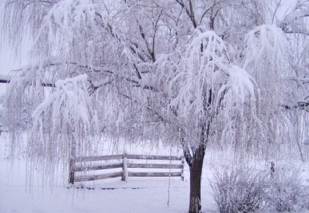 Winter - snow, bench, winter, nature