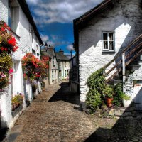 beautiful street