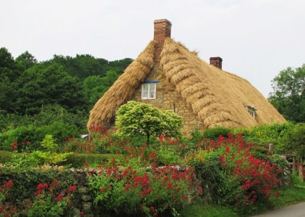 pretty cottage - cottage, pretty