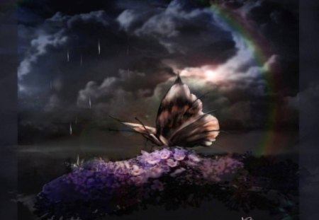 Butterfly Storm - dark clouds, rainbow, art, butterfly, night, flowers