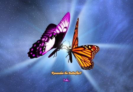 Butterfly Meeting - verse, butterflies