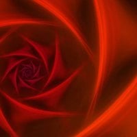 Red Rose Fractal