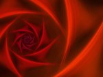 Red Rose Fractal