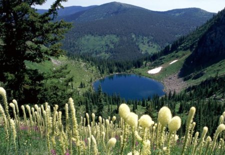 Hidden Lake, Superior, Montana  - lake, flowers, mountain, trees