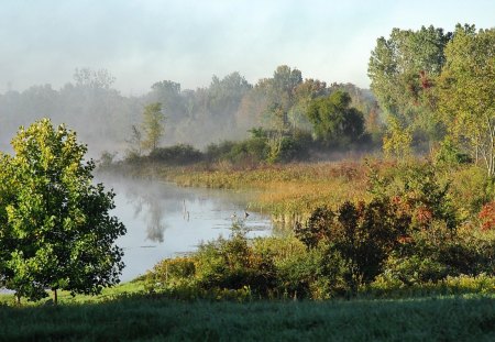 Morning - nature, morning