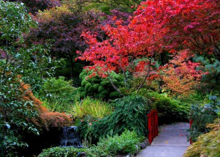 Walk to the nature - garden, forest