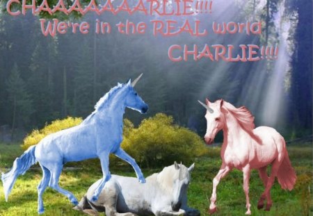 Charlie - cool, unicorns, candy, funny