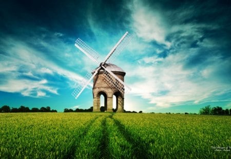 Whisper Of Wind - clouds, wind, green, field, whisper, sky