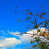 Sky and Blue