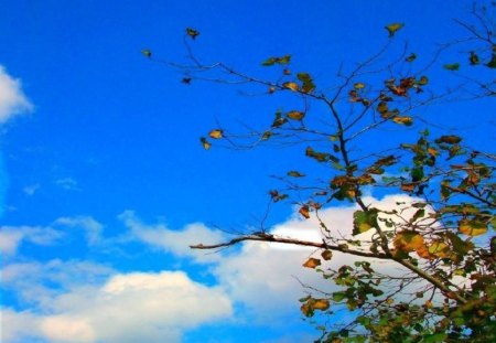 Sky and Blue - sky, blue