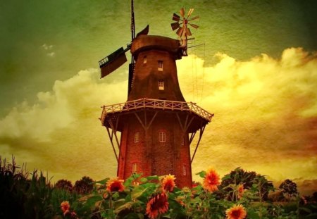 WindMill in sunflower field - sky, sunflowers, clouds, sun, green, summer, windmill, flowers