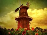 WindMill in sunflower field