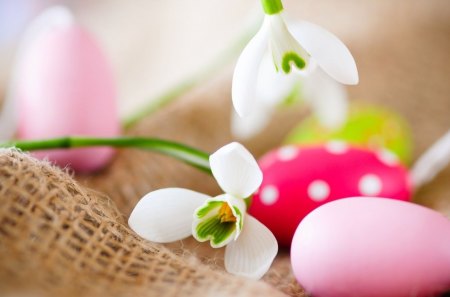 Spring for hope - easter, snowdrops, spring, egg, march