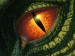 Dragon's Eye