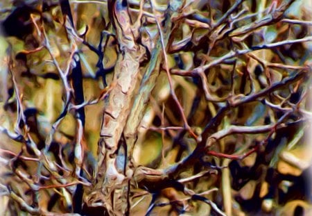 Branches - branches, oil painted, enhanced, woods