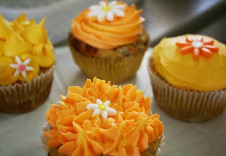 Orange cupcakes for you - cream, cupcake, food, dessert, orange, flower, sweet