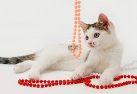 Kitty with beads - red, funny, animal, pink, cute, cat, play, beads, white, kitty