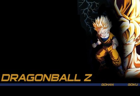 Goku - dragonball, for a number guy, goku, cant think of a fourth