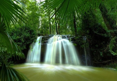 Tropical Waterfall - pool, trees, waterfall, jungle