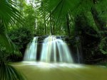 Tropical Waterfall