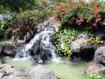 ~Waikiki Falls~