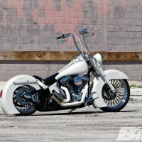 Softail Sex Appeal