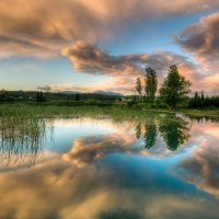 wonderful mirrored pond