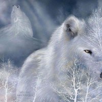White Wolf