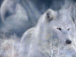 White Wolf