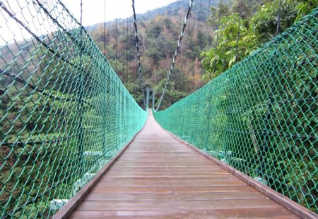 Suspension bridge - mountain, suspension bridge, tree, swinging, hiking