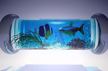 Fish aquarium - aquarium, art, fish, blue