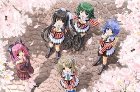 Cherry Blossoms - pretty, anime, female, blossom, wink, green eyes, green hair, bag, long hair, uniform, short hair, group, bricks, blue hair, nice, pink hair, blue eyes, brown eyes, anime girl, sakura, cherry blossom, girl, lovely, sakura blossom, sweet, flower, petals, shadow, school uniform, black hair, shade, floral