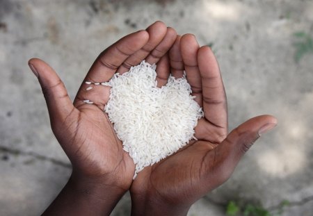 Heart of rice - rice, artistic, hands, heart, cute, love