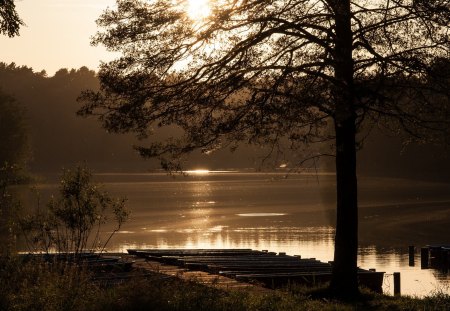 Sunrise - trees, nature, sunrise, lske