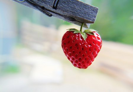 the strawberry-nice - red, strawberry, nice, heart