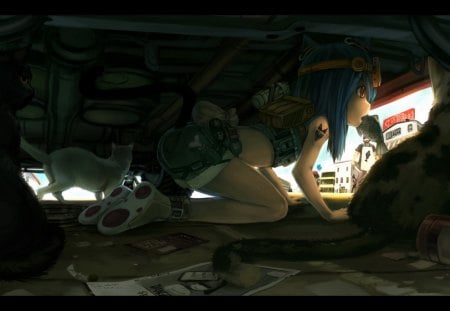 Under car - anime, neko, car, blue hair, girl, cats, fish