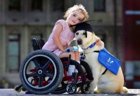 Beyond friendship - wheelchair, friends, love, girl, dog