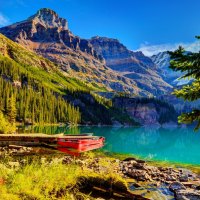 A boat on the lakeshore