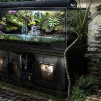 Aquarium Design