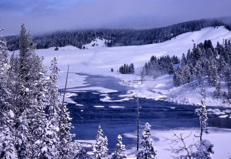 Yellowstone Lake in Winter - landscape, river, hills, trees, snow