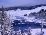 Yellowstone Lake in Winter