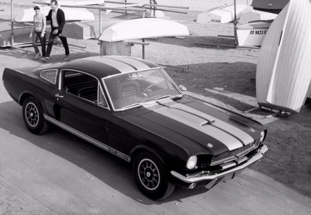 ford gt350 - old, ford, car, gt350