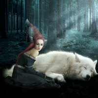 Sleeping Wolf