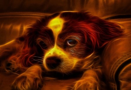 Dog - art, animals, dog, wallpaper, other