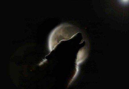 Wolf Moon - wolf, moon, animals, dogs, fantasy