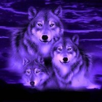 Blue Wolf Fantasy