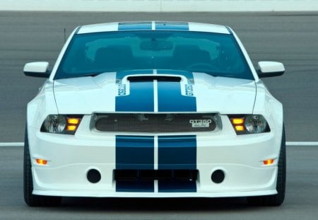 shelby mustang gt 350 - cobra, shelby, mustang, car